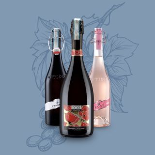 Vína z produkce vinařství VINI TONON Benátsko je italský region bohatý na historii, kulturu a úchvatné památky, jako jsou...